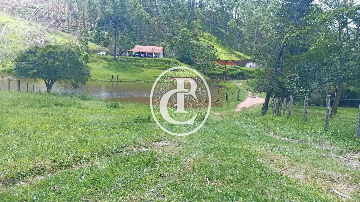 Sítio / Rancho com 2 quartos à venda, 490000m2 em Paraibuna - SP - imagem 3 Foto 3 de Sítio / Rancho com 2 quartos à venda, 490000m2 em Paraibuna - SP