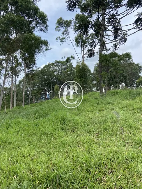 Chácara à venda, 21000m2 em Sao Jose Dos Campos - SP - imagem 8 Foto 8 de Chácara à venda, 21000m2 em Sao Jose Dos Campos - SP