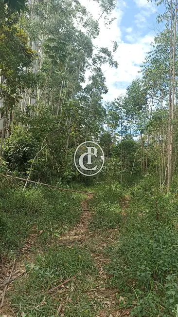 Sítio / Rancho com 1 quarto à venda, 96800m2 em Paraibuna - SP - imagem 3 Foto 3 de Sítio / Rancho com 1 quarto à venda, 96800m2 em Paraibuna - SP