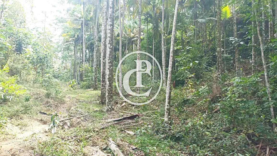 Sítio / Rancho com 1 quarto à venda, 96800m2 em Paraibuna - SP - imagem 6 Foto 6 de Sítio / Rancho com 1 quarto à venda, 96800m2 em Paraibuna - SP