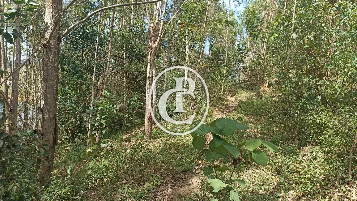 Sítio / Rancho com 1 quarto à venda, 96800m2 em Paraibuna - SP - imagem 9 Foto 9 de Sítio / Rancho com 1 quarto à venda, 96800m2 em Paraibuna - SP
