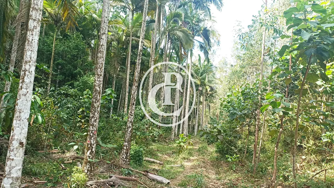 Sítio / Rancho com 1 quarto à venda, 96800m2 em Paraibuna - SP - imagem 5 Foto 5 de Sítio / Rancho com 1 quarto à venda, 96800m2 em Paraibuna - SP