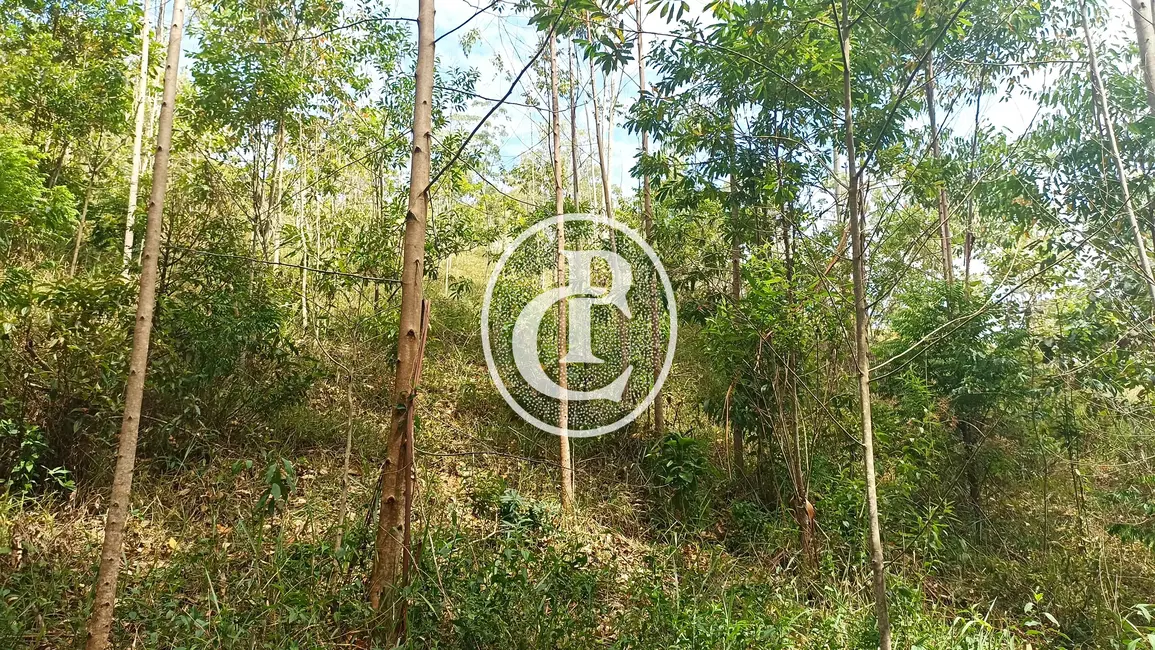 Sítio / Rancho com 1 quarto à venda, 96800m2 em Paraibuna - SP - imagem 4 Foto 4 de Sítio / Rancho com 1 quarto à venda, 96800m2 em Paraibuna - SP