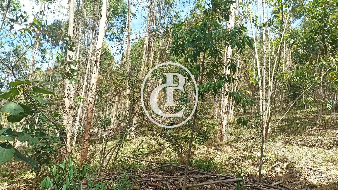 Sítio / Rancho com 1 quarto à venda, 96800m2 em Paraibuna - SP - imagem 7 Foto 7 de Sítio / Rancho com 1 quarto à venda, 96800m2 em Paraibuna - SP