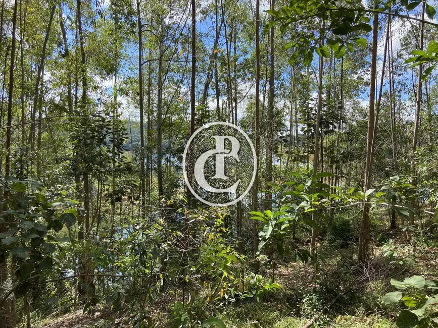 Terreno / Lote à venda, 100000m2 em Paraibuna - SP - imagem 4 Foto 4 de Terreno / Lote à venda, 100000m2 em Paraibuna - SP