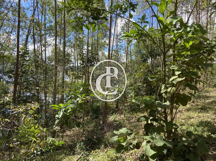 Terreno / Lote à venda, 100000m2 em Paraibuna - SP - imagem 5 Foto 5 de Terreno / Lote à venda, 100000m2 em Paraibuna - SP