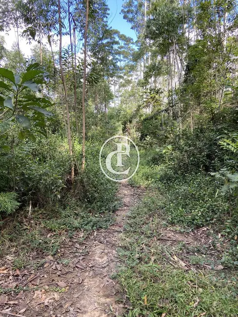Terreno / Lote à venda, 100000m2 em Paraibuna - SP - imagem 8 Foto 8 de Terreno / Lote à venda, 100000m2 em Paraibuna - SP