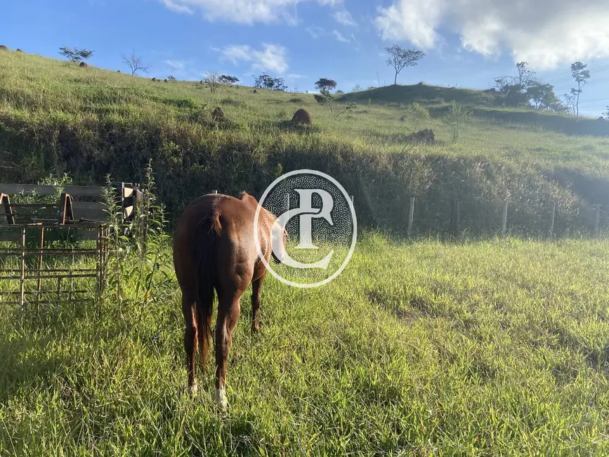 Foto 2 de Sítio / Rancho com 3 quartos à venda, 60000m2 em Jambeiro - SP