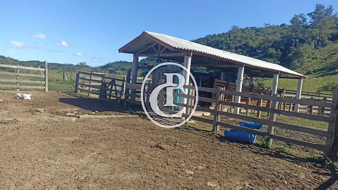 Fazenda / Haras com 4 quartos à venda em Centro, Jacarei - SP - imagem 1 Foto 1 de Fazenda / Haras com 4 quartos à venda em Centro, Jacarei - SP