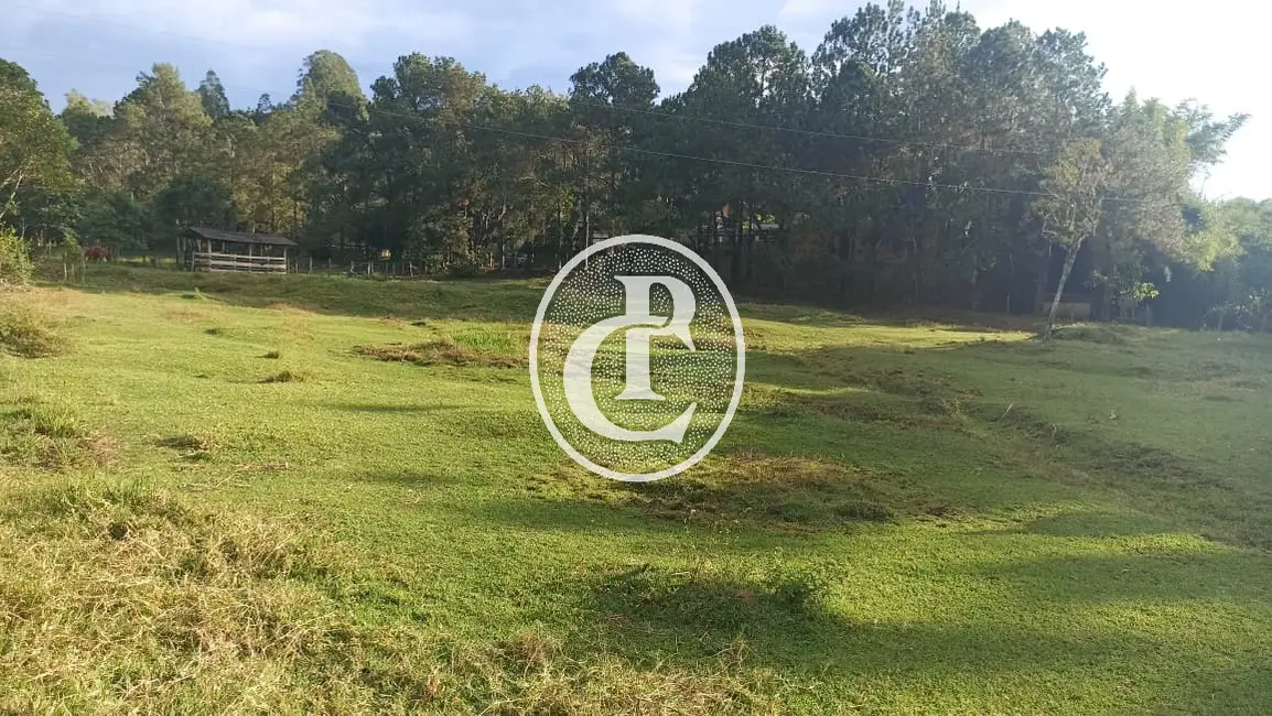 Chácara com 3 quartos à venda, 250m2 em Jambeiro - SP - imagem 4 Foto 4 de Chácara com 3 quartos à venda, 250m2 em Jambeiro - SP