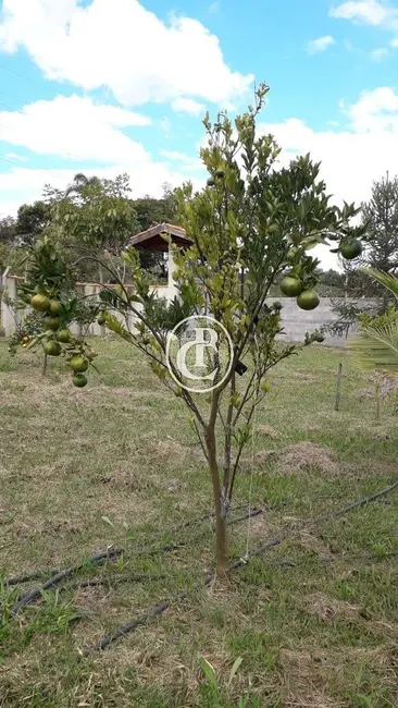 Foto 6 de Chácara com 2 quartos à venda, 130m2 em Roseirinha, Cacapava - SP
