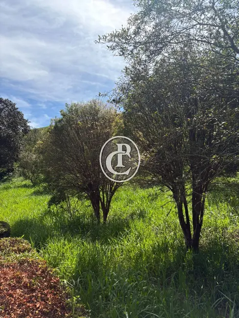 Fazenda / Haras com 40 quartos à venda, 84m2 em Sao Jose Dos Campos - SP - imagem 4 Foto 4 de Fazenda / Haras com 40 quartos à venda, 84m2 em Sao Jose Dos Campos - SP