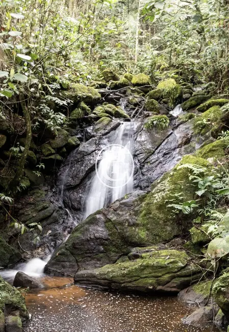 Sítio / Rancho com 2 quartos à venda, 47000m2 em Sao Jose Dos Campos - SP - imagem 6 Foto 6 de Sítio / Rancho com 2 quartos à venda, 47000m2 em Sao Jose Dos Campos - SP