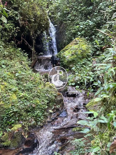 Foto 1 de Sítio / Rancho com 5 quartos à venda, 10m2 em Sao Jose Dos Campos - SP