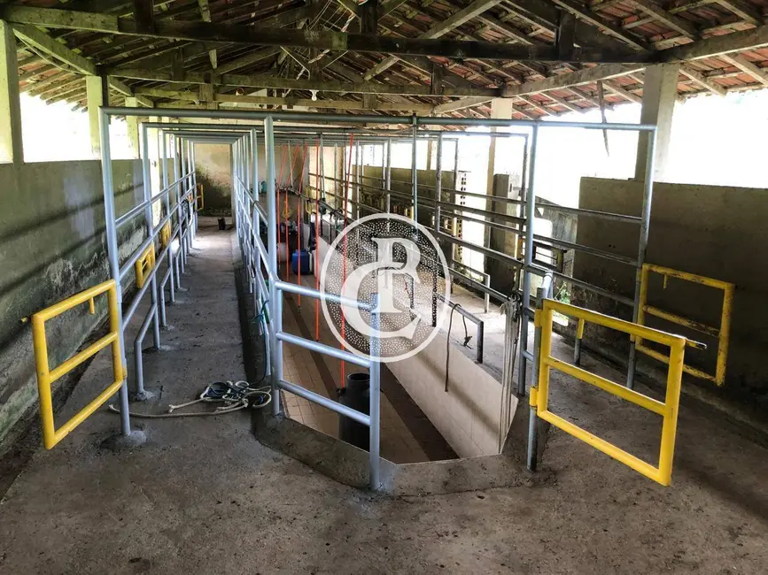 Fazenda / Haras com 3 quartos à venda, 436m2 em Iguape - SP - imagem 8 Foto 8 de Fazenda / Haras com 3 quartos à venda, 436m2 em Iguape - SP