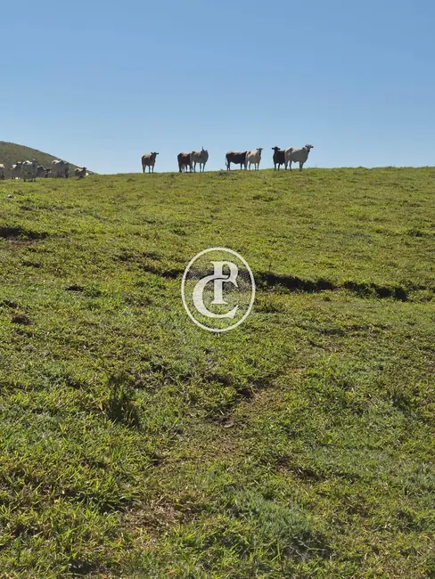 Fazenda / Haras com 4 quartos à venda, 171m2 em Sao Jose Dos Campos - SP - imagem 4 Foto 4 de Fazenda / Haras com 4 quartos à venda, 171m2 em Sao Jose Dos Campos - SP