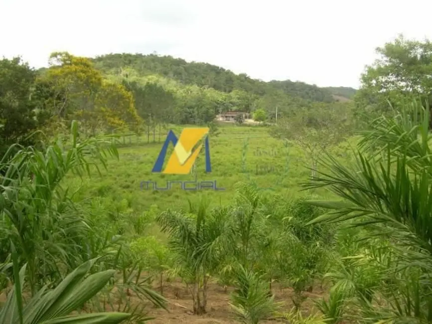 Terreno / Lote à venda, 194153m2 em Parque Santa Rosa, Suzano - SP - imagem 5 Foto 5 de Terreno / Lote à venda, 194153m2 em Parque Santa Rosa, Suzano - SP