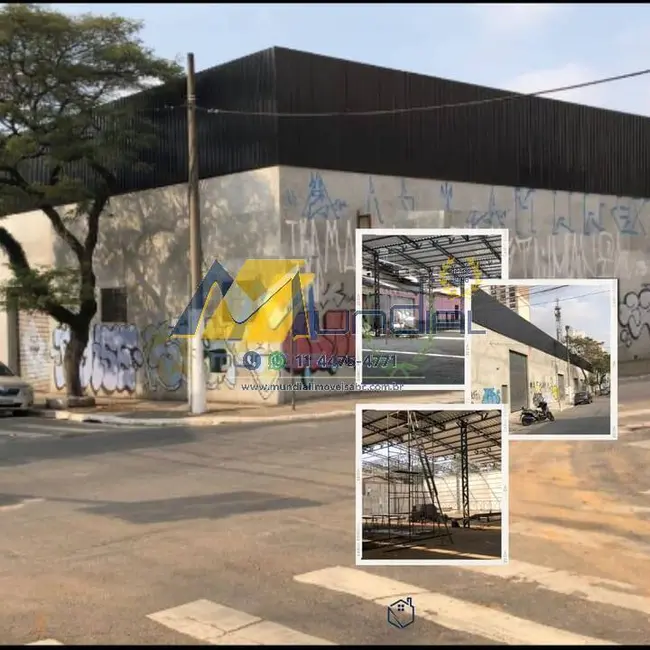 Foto 1 de Sala Comercial para alugar, 3000m2 em Cambuci, São Paulo - SP