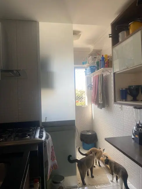 Apartamento com 2 quartos à venda, 44m2 em Jardim Utinga, Santo Andre - SP - imagem 9 Foto 9 de Apartamento com 2 quartos à venda, 44m2 em Jardim Utinga, Santo Andre - SP