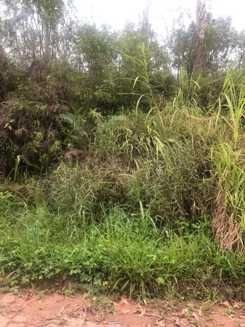 Sala Comercial para alugar, 200m2 em Parque das Nações, Santo Andre - SP - imagem 4 Foto 4 de Sala Comercial para alugar, 200m2 em Parque das Nações, Santo Andre - SP