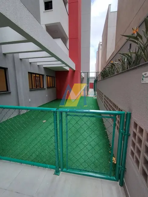 Foto 3 de Apartamento com 3 quartos à venda, 65m2 em Vila Assunção, Santo Andre - SP