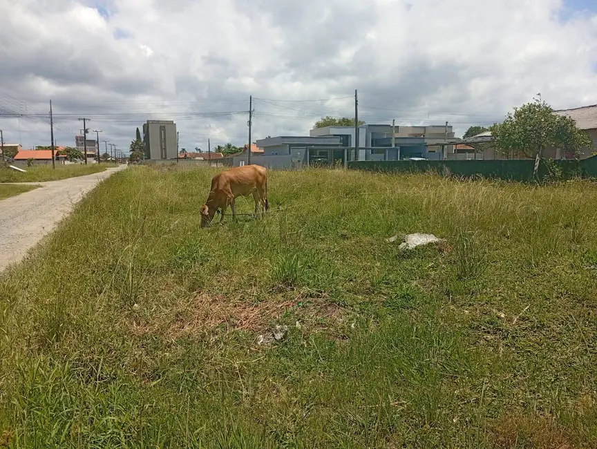 Foto 4 de Terreno / Lote à venda, 360m2 em Centro, Balneario Barra Do Sul - SC