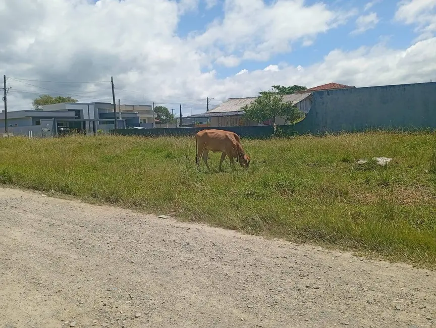 Foto 6 de Terreno / Lote à venda, 360m2 em Centro, Balneario Barra Do Sul - SC