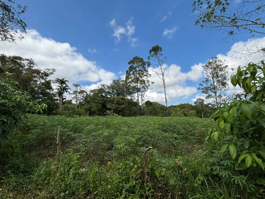 Foto 7 de Terreno / Lote à venda, 3188m2 em Balneario Barra Do Sul - SC