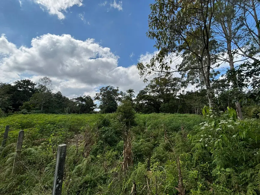 Foto 4 de Terreno / Lote à venda, 3188m2 em Balneario Barra Do Sul - SC