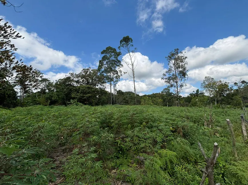 Foto 5 de Terreno / Lote à venda, 3188m2 em Balneario Barra Do Sul - SC