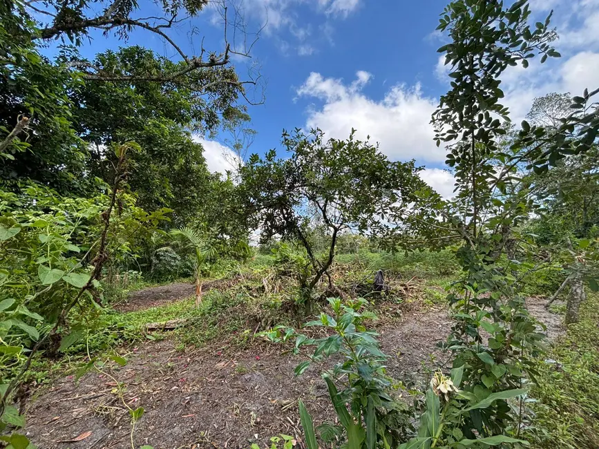 Foto 3 de Terreno / Lote à venda, 3188m2 em Balneario Barra Do Sul - SC