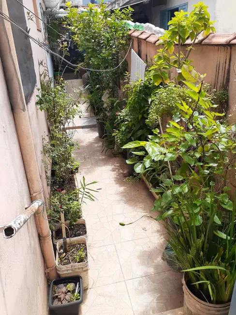 Foto 3 de Casa à venda, 158m2 em Vila Palmares, Santo Andre - SP