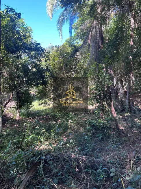 Chácara com 1 quarto à venda, 3600m2 em São Gonçalo, Taubate - SP - imagem 6 Foto 6 de Chácara com 1 quarto à venda, 3600m2 em São Gonçalo, Taubate - SP