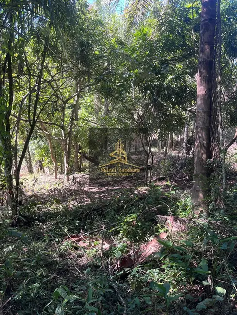 Chácara com 1 quarto à venda, 3600m2 em São Gonçalo, Taubate - SP - imagem 7 Foto 7 de Chácara com 1 quarto à venda, 3600m2 em São Gonçalo, Taubate - SP