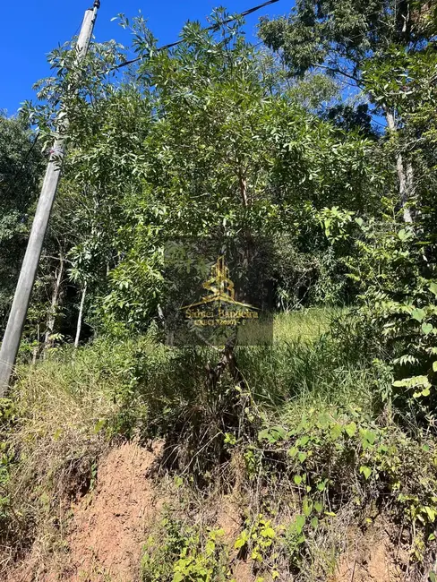Chácara com 1 quarto à venda, 3600m2 em São Gonçalo, Taubate - SP - imagem 9 Foto 9 de Chácara com 1 quarto à venda, 3600m2 em São Gonçalo, Taubate - SP