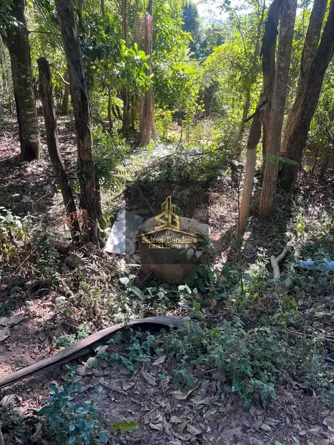 Chácara com 1 quarto à venda, 3600m2 em São Gonçalo, Taubate - SP - imagem 2 Foto 2 de Chácara com 1 quarto à venda, 3600m2 em São Gonçalo, Taubate - SP