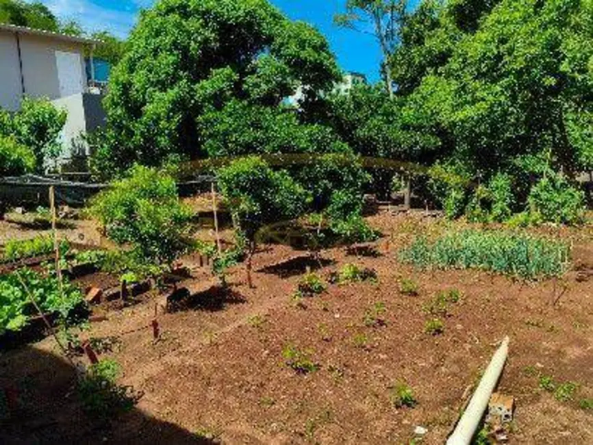 Foto 8 de Casa com 3 quartos à venda, 377m2 em Sarandi - RS