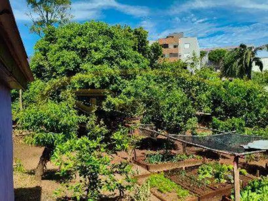 Foto 9 de Casa com 3 quartos à venda, 377m2 em Sarandi - RS