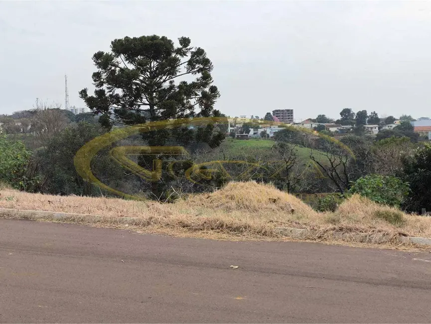 Foto 5 de Terreno / Lote à venda, 272m2 em Sarandi - RS