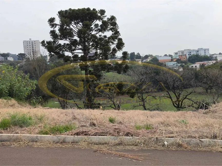 Foto 4 de Terreno / Lote à venda, 272m2 em Sarandi - RS