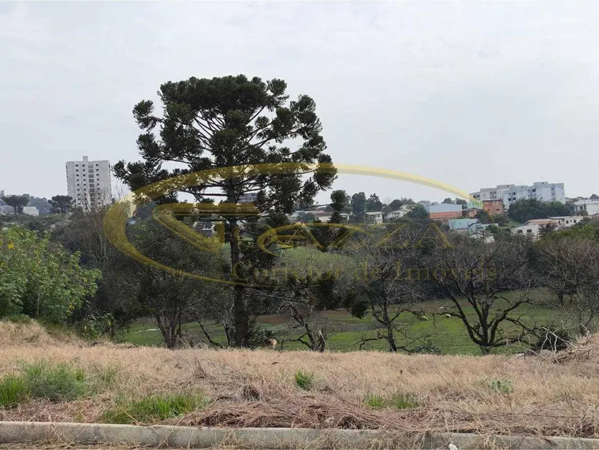 Foto 6 de Terreno / Lote à venda, 272m2 em Sarandi - RS