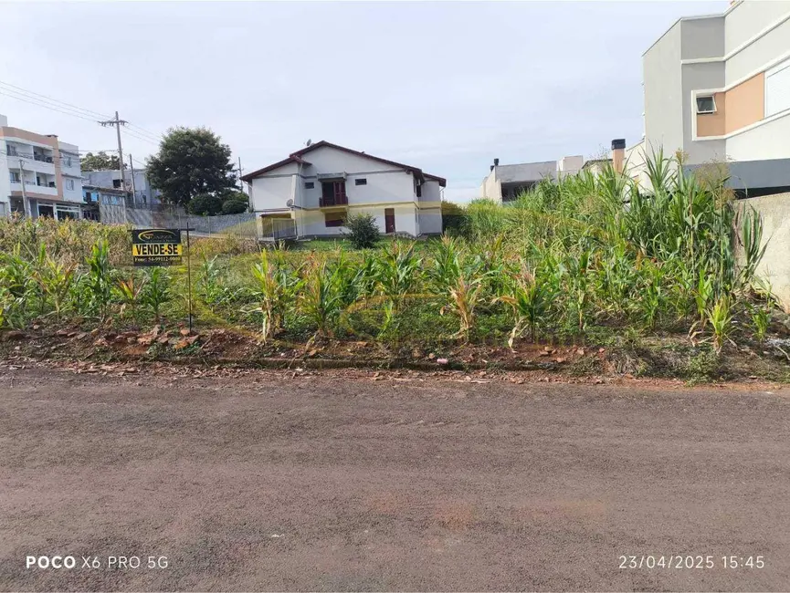 Foto 3 de Terreno / Lote à venda, 393m2 em Sarandi - RS