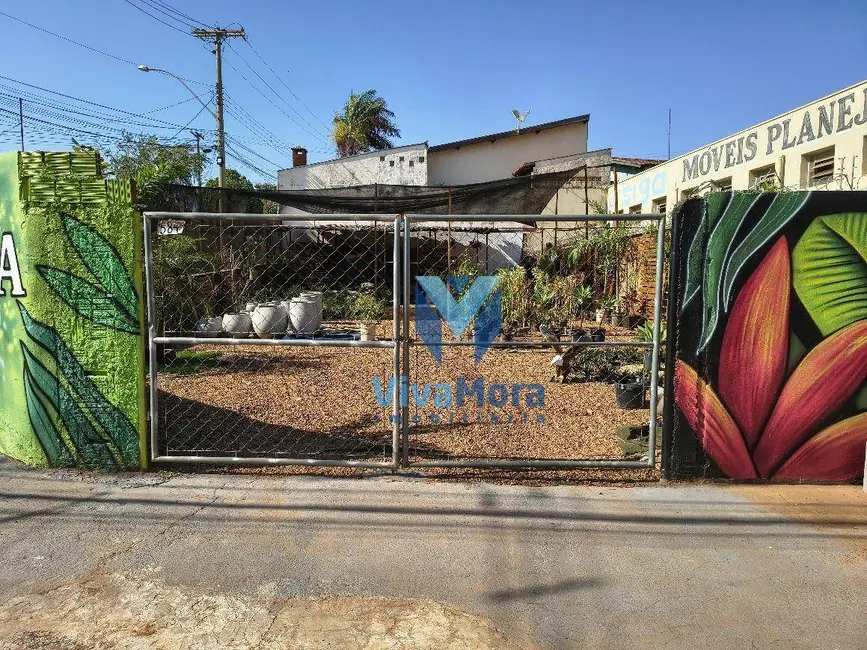 Terreno / Lote à venda e para alugar, 250m2 em Conjunto Habitacional São Deocleciano, Sao Jose Do Rio Preto - SP - imagem 8 Foto 8 de Terreno / Lote à venda e para alugar, 250m2 em Conjunto Habitacional São Deocleciano, Sao Jose Do Rio Preto - SP