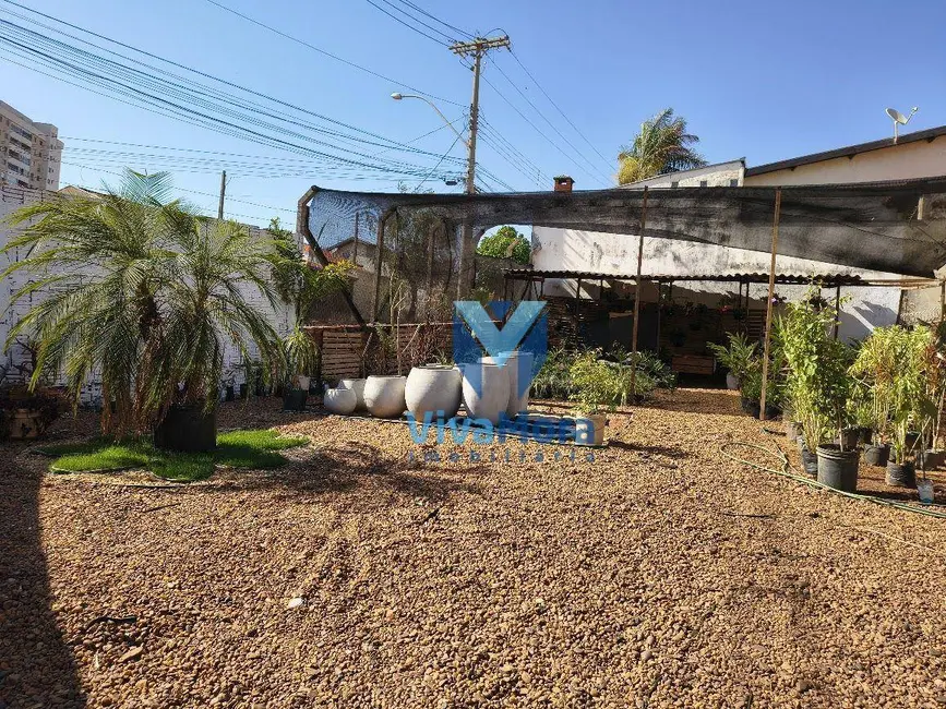 Terreno / Lote à venda e para alugar, 250m2 em Conjunto Habitacional São Deocleciano, Sao Jose Do Rio Preto - SP - imagem 7 Foto 7 de Terreno / Lote à venda e para alugar, 250m2 em Conjunto Habitacional São Deocleciano, Sao Jose Do Rio Preto - SP