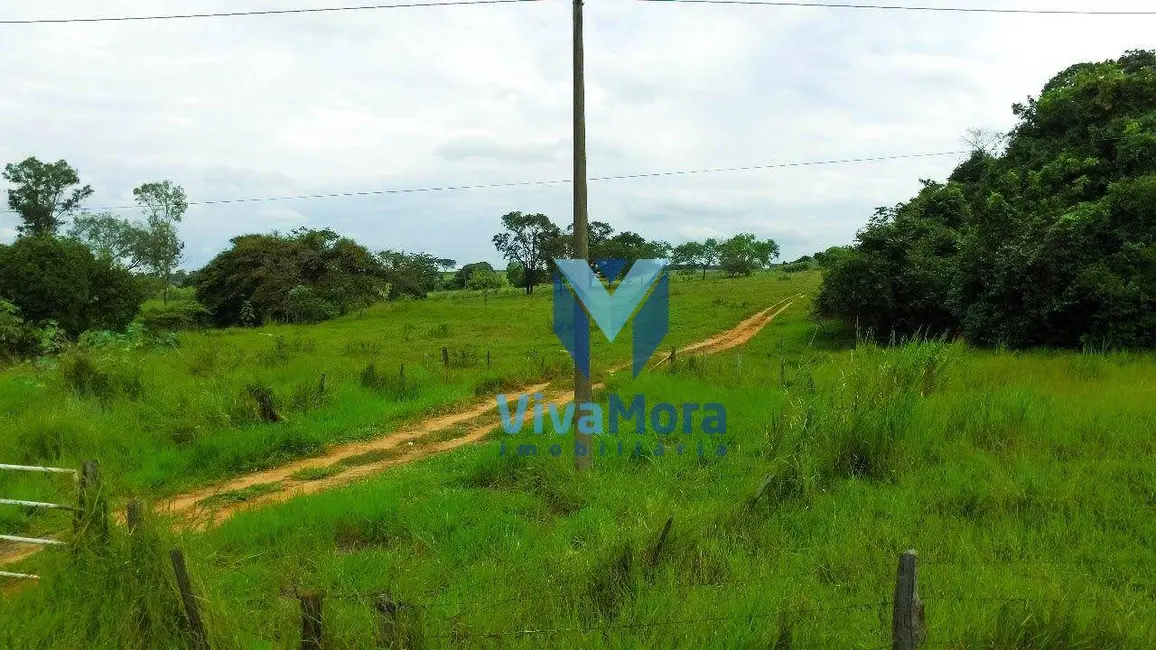 Sala Comercial à venda, 98965m2 em Sao Jose Do Rio Preto - SP - imagem 8 Foto 8 de Sala Comercial à venda, 98965m2 em Sao Jose Do Rio Preto - SP