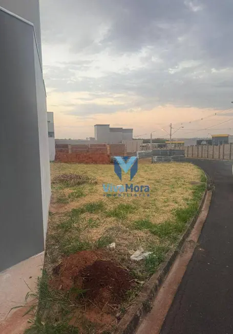 Foto 3 de Terreno / Lote à venda, 362m2 em Mirassol - SP