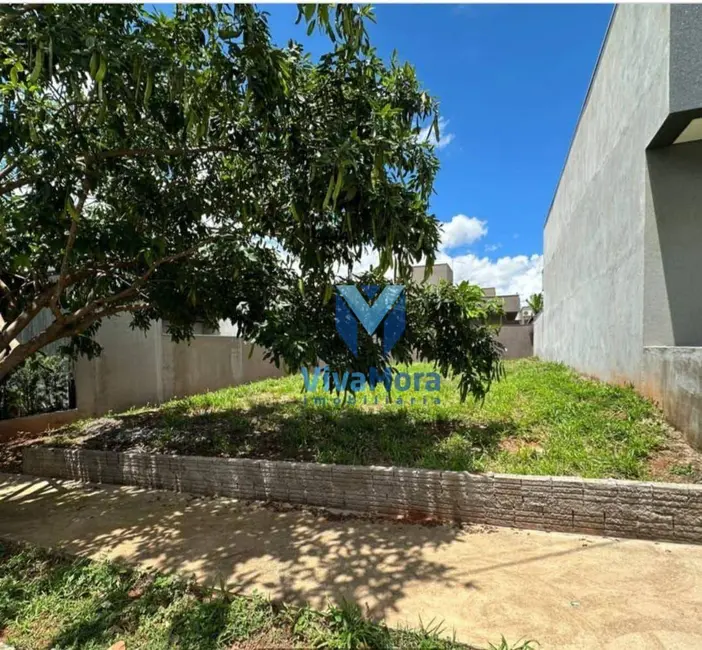 Foto 4 de Terreno / Lote à venda, 253m2 em Mirassol - SP