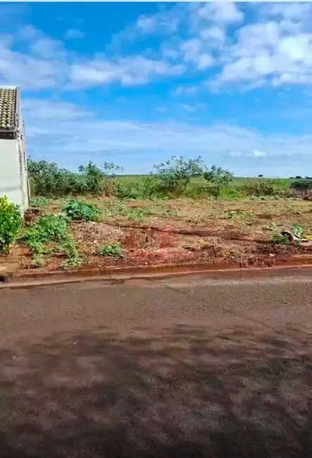 Terreno / Lote à venda, 452m2 em Conjunto Habitacional João de Barro Thaís, Maringa - PR - imagem 3 Foto 3 de Terreno / Lote à venda, 452m2 em Conjunto Habitacional João de Barro Thaís, Maringa - PR