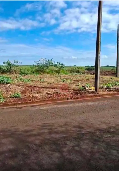 Terreno / Lote à venda, 452m2 em Conjunto Habitacional João de Barro Thaís, Maringa - PR - imagem 7 Foto 7 de Terreno / Lote à venda, 452m2 em Conjunto Habitacional João de Barro Thaís, Maringa - PR