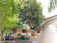 Imagem 3